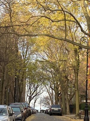 IMG_4375.jpeg IMG_4375.jpeg