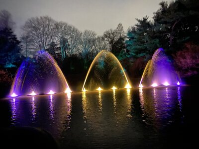 IMG_4377.jpeg IMG_4377.jpeg