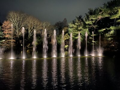 IMG_4378.jpeg IMG_4378.jpeg