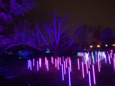 IMG_4382.jpeg IMG_4382.jpeg