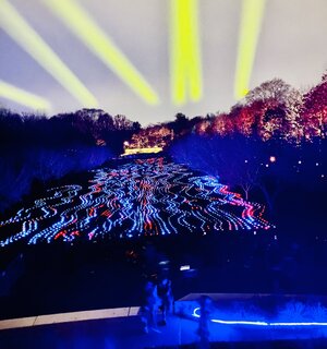 IMG_4392.jpeg IMG_4392.jpeg