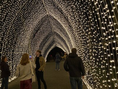 IMG_4394.jpeg IMG_4394.jpeg