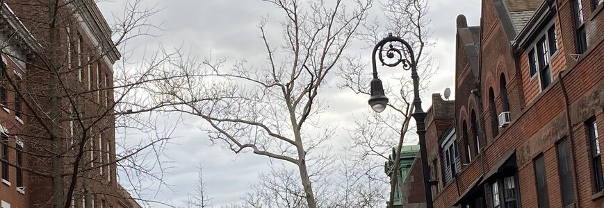 IMG_4396.jpeg IMG_4396.jpeg