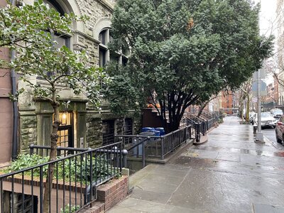 IMG_4519.jpeg IMG_4519.jpeg