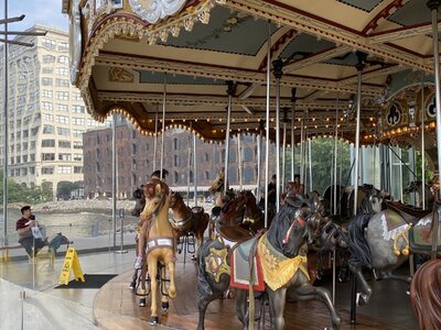 IMG_5064.jpeg IMG_5064.jpeg