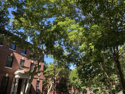 IMG_5085.jpeg IMG_5085.jpeg