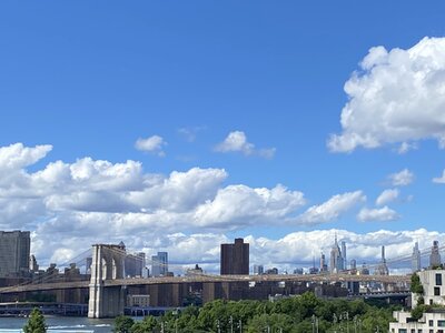 IMG_5089.jpeg IMG_5089.jpeg