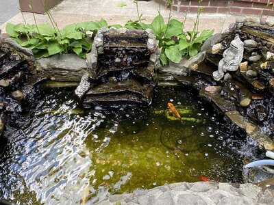 IMG_5093.jpeg IMG_5093.jpeg