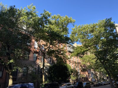 IMG_5097.jpeg IMG_5097.jpeg