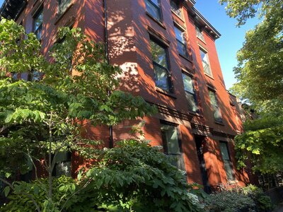 IMG_5098.jpeg IMG_5098.jpeg