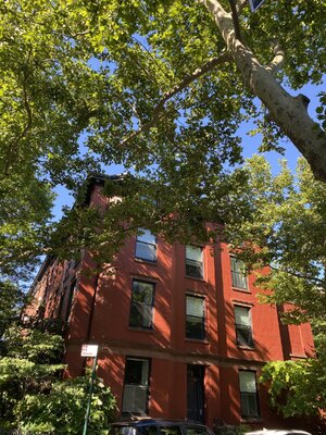 IMG_5106.jpeg IMG_5106.jpeg