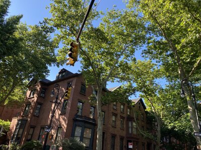 IMG_5107.jpeg IMG_5107.jpeg