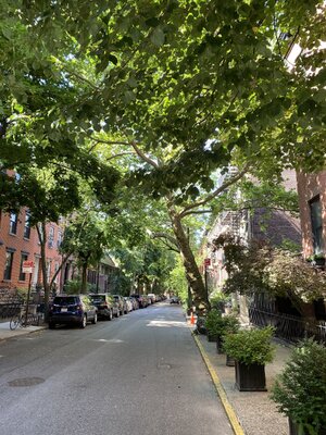 IMG_5110.jpeg IMG_5110.jpeg