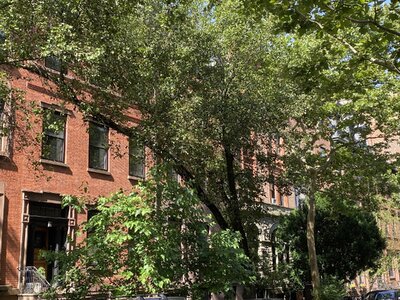 IMG_5111.jpeg IMG_5111.jpeg