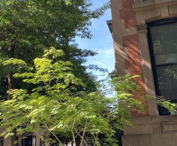 IMG_5112.jpeg IMG_5112.jpeg