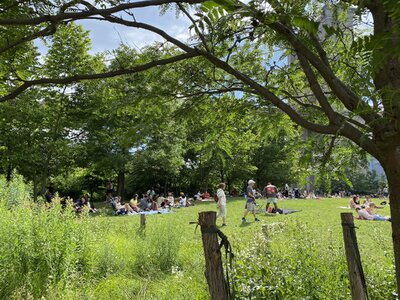 IMG_5114.jpeg IMG_5114.jpeg