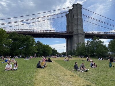 IMG_5113.jpeg IMG_5113.jpeg