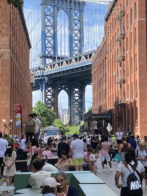 IMG_5117.jpeg IMG_5117.jpeg