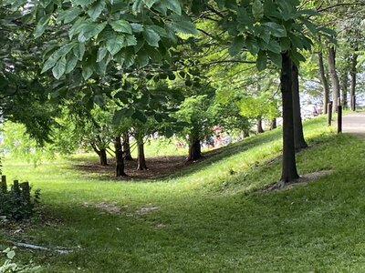 IMG_5122.jpeg IMG_5122.jpeg