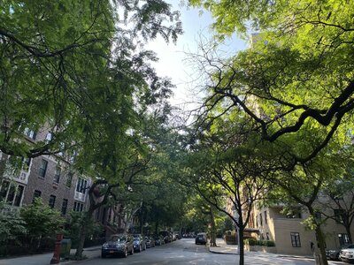 IMG_5131.jpeg IMG_5131.jpeg