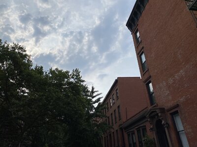 IMG_5142.jpeg IMG_5142.jpeg