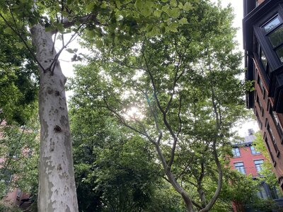 IMG_5145.jpeg IMG_5145.jpeg