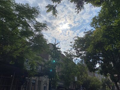 IMG_5148.jpeg IMG_5148.jpeg