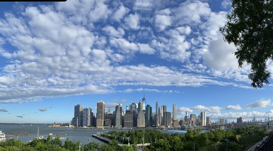 IMG_5155.jpeg IMG_5155.jpeg