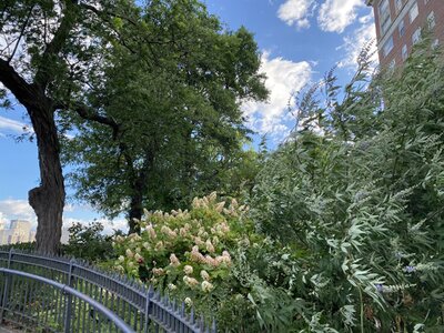 IMG_5154.jpeg IMG_5154.jpeg