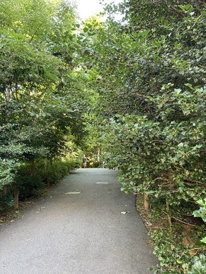 IMG_5164.jpeg IMG_5164.jpeg