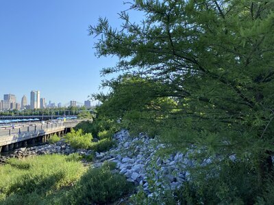 IMG_5168.jpeg IMG_5168.jpeg