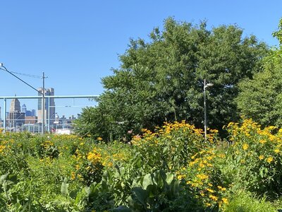 IMG_5176.jpeg IMG_5176.jpeg