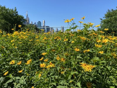 IMG_5178.jpeg IMG_5178.jpeg