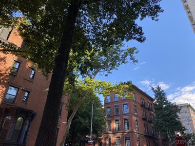 IMG_5186.jpeg IMG_5186.jpeg