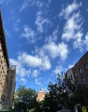 IMG_5187.jpeg IMG_5187.jpeg