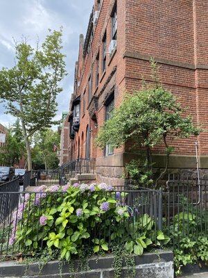 IMG_5197.jpeg IMG_5197.jpeg