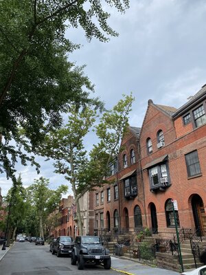 IMG_5198.jpeg IMG_5198.jpeg