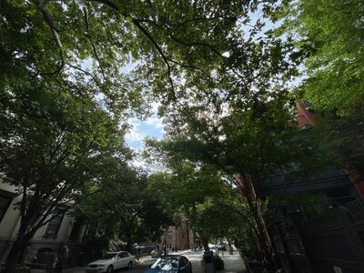 IMG_5199.jpeg IMG_5199.jpeg