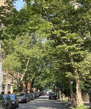 IMG_5204.jpeg IMG_5204.jpeg