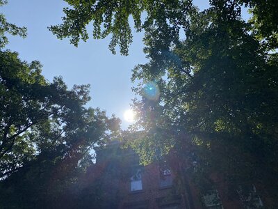 IMG_5202.jpeg IMG_5202.jpeg