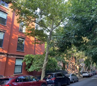 IMG_5213.jpeg IMG_5213.jpeg