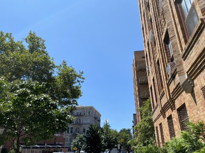 IMG_5227.jpeg IMG_5227.jpeg