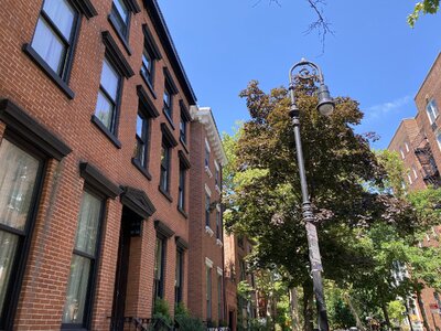 IMG_5226.jpeg IMG_5226.jpeg