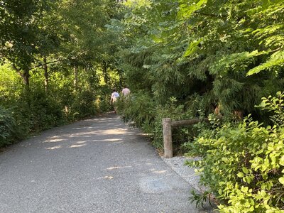 IMG_5235.jpeg IMG_5235.jpeg