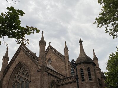 IMG_5241.jpeg IMG_5241.jpeg