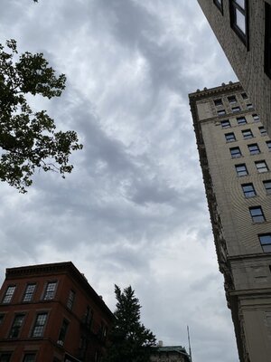 IMG_5242.jpeg IMG_5242.jpeg