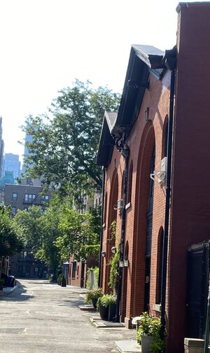 IMG_5259.jpeg IMG_5259.jpeg