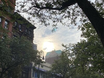 IMG_5263.jpeg IMG_5263.jpeg