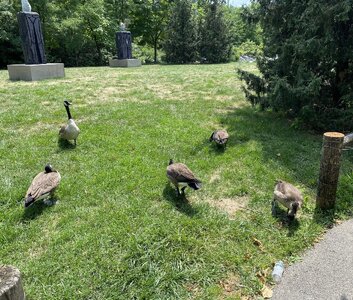 IMG_5274.jpeg IMG_5274.jpeg