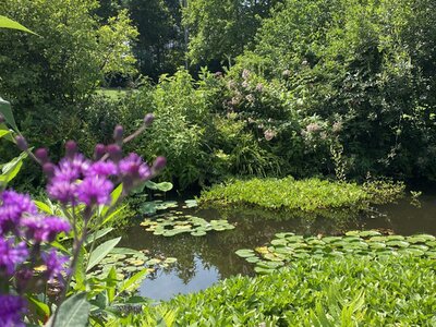 IMG_5280.jpeg IMG_5280.jpeg